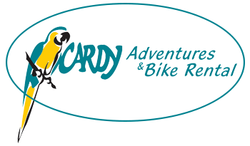 cardyadventures